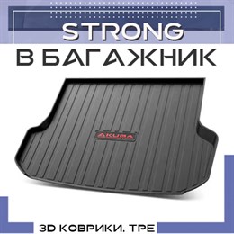 Strong в багажник