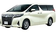 Модельные чехлы на TOYOTA ALPHARD/VELLFIRE 2015/2-2019/12гг.