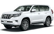 Модельные коврики на TOYOTA LAND CRUISER PRADO 150 2009-2023гг.