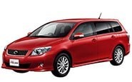 Модельные коврики на TOYOTA COROLLA FIELDER Е140 2006-2012гг.