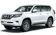 Модельные коврики на TOYOTA LAND CRUISER PRADO 150 2009-2024гг.