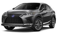 Коврик в багажник для LEXUS RX200t 2015-2017гг.