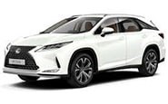Коврик в багажник для LEXUS RX300 2017-2022гг.