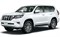 Модельные коврики на TOYOTA LAND CRUISER PRADO 150 2009-2024гг.