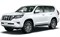 Модельные коврики на TOYOTA LAND CRUISER PRADO 150 2009-2024гг.