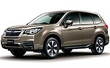 Модельные коврики на SUBARU FORESTER 2012-2018гг.