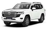 Коврик в багажник для TOYOTA LAND CRUISER 300 2021-н.вр.